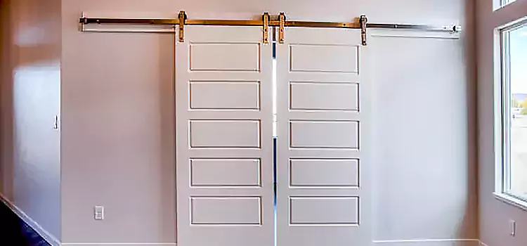 Glass Barn Door with Installation Hardware Kit Missoula